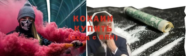 соль ск Белокуриха