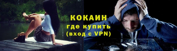 соль ск Белокуриха