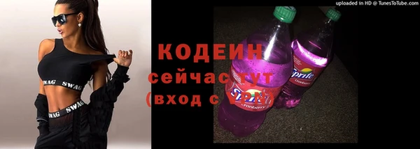 соль ск Белокуриха