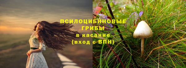 амф Беломорск