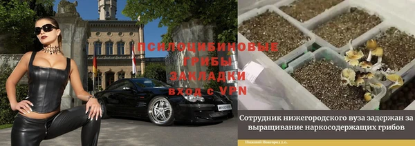 соль ск Белокуриха