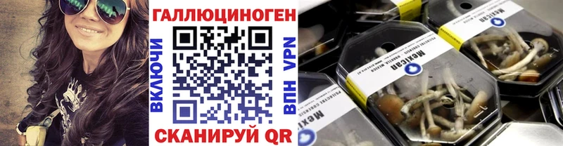 как найти наркотики  Кяхта  hydra рабочий сайт  Галлюциногенные грибы ЛСД 